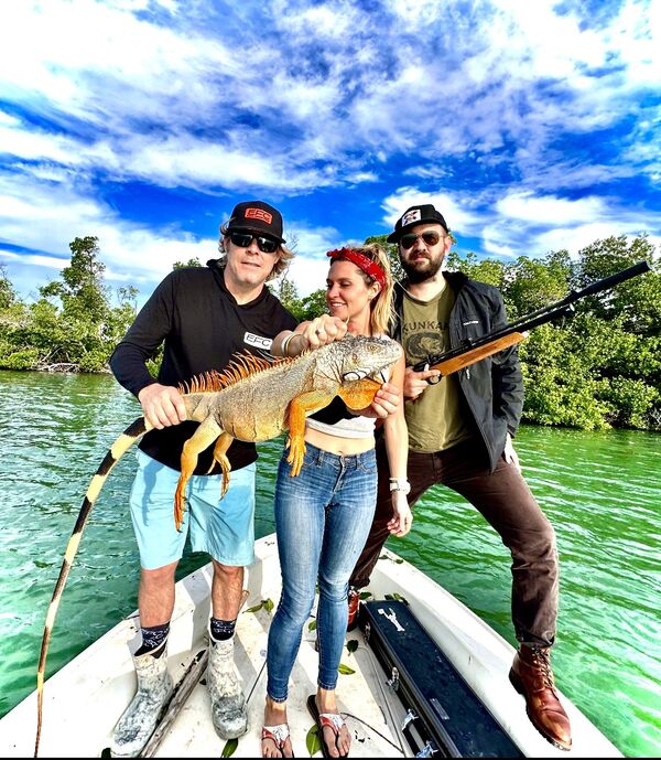Invasive Iguanas in Key West: Where to See Them & Florida Hunting Rules