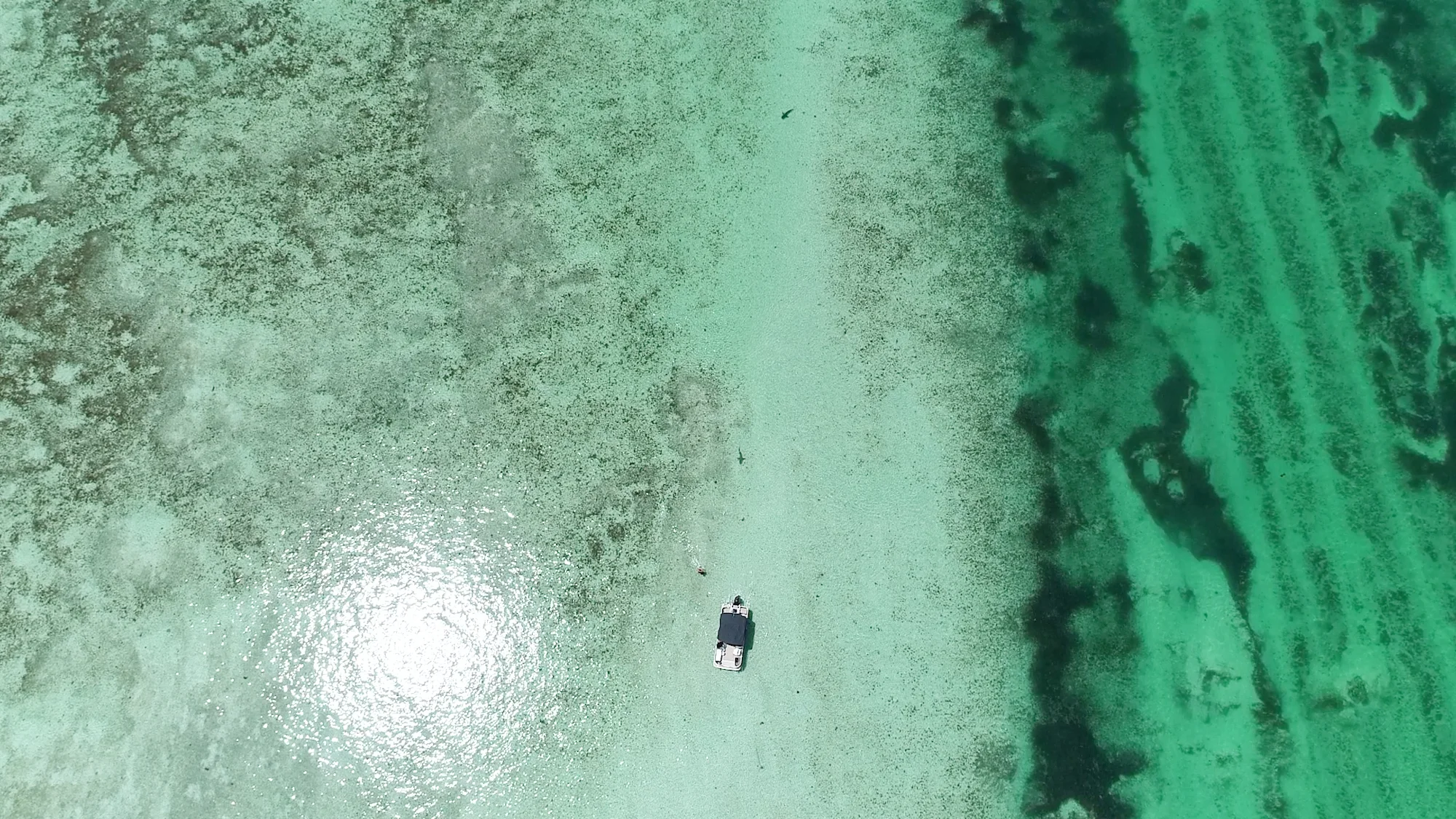 Overhead aerial of a small boat on a pale shallow flat beside the darker edge of a deep channel