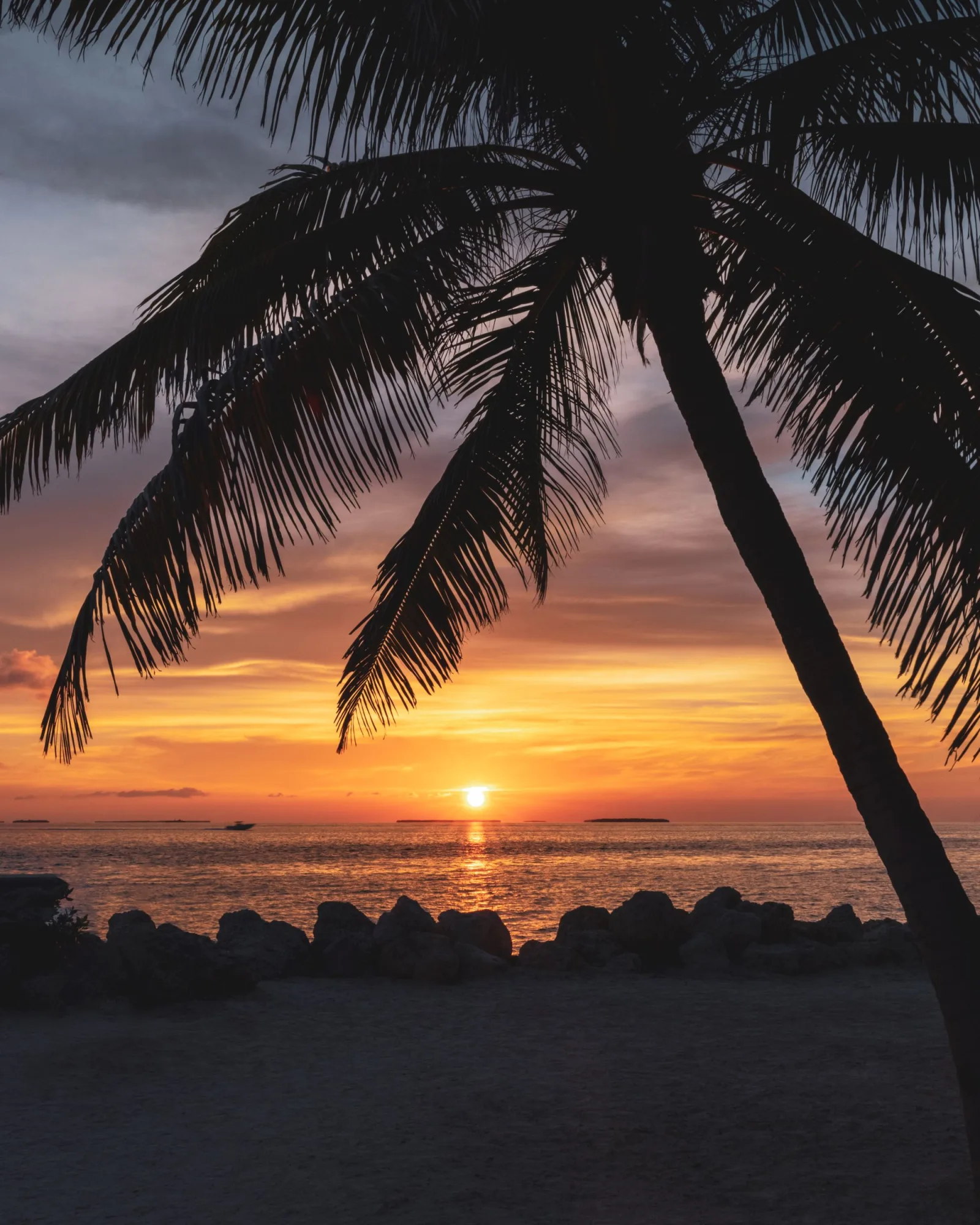 Palm trees silhouetted against a sunset sky in Key West