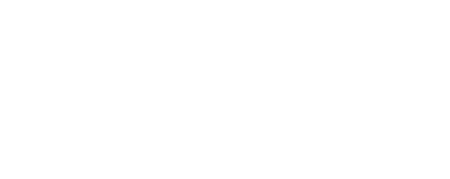 Six Fins Charter Company
